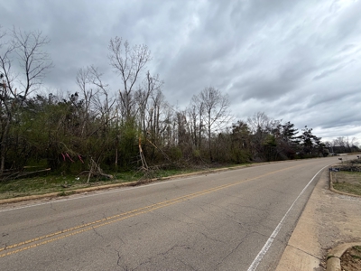 Great Land w/ Multiple Uses in Alcorn Co., Farmington, MS - image 5
