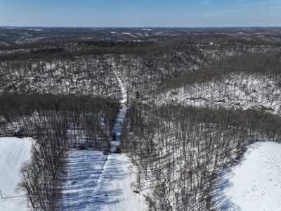 Monroe County 78 +/- ACRES of Prime Hunting Land - image 6