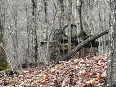 Monroe County 78 +/- ACRES of Prime Hunting Land - image 3