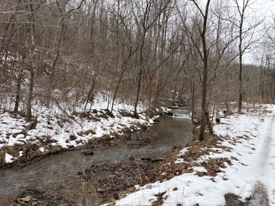 Monroe County 78 +/- ACRES of Prime Hunting Land - image 5