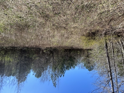 29 Acres with Creek & Homesites - image 27