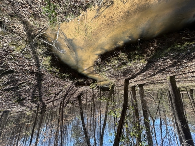 29 Acres with Creek & Homesites - image 3