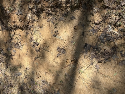 29 Acres with Creek & Homesites - image 38