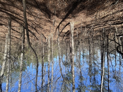 29 Acres with Creek & Homesites - image 45