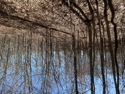 29 Acres with Creek & Homesites - image 44
