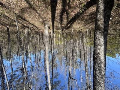 29 Acres with Creek & Homesites - image 16