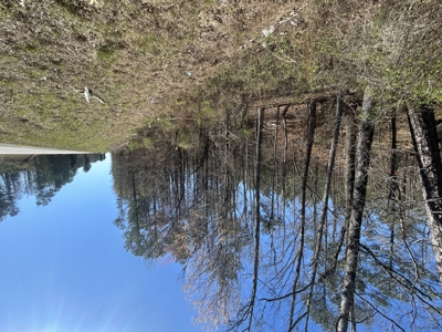 29 Acres with Creek & Homesites - image 35