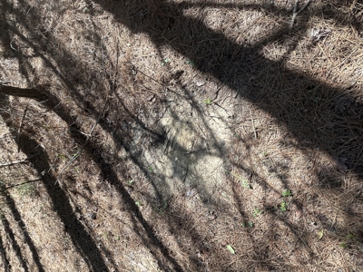 29 Acres with Creek & Homesites - image 41