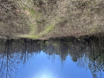 29 Acres with Creek & Homesites - image 28