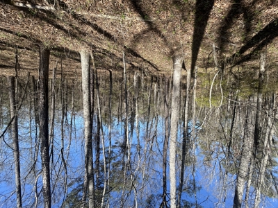 29 Acres with Creek & Homesites - image 17
