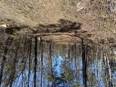 29 Acres with Creek & Homesites - image 25
