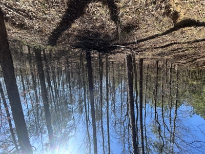 29 Acres with Creek & Homesites - image 37
