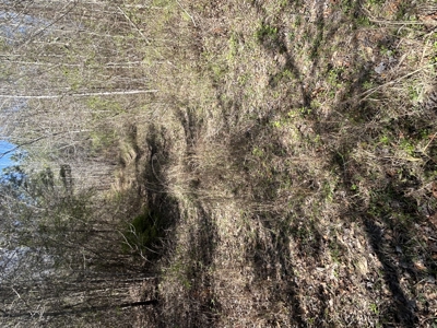 29 Acres with Creek & Homesites - image 31
