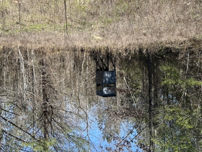 29 Acres with Creek & Homesites - image 34