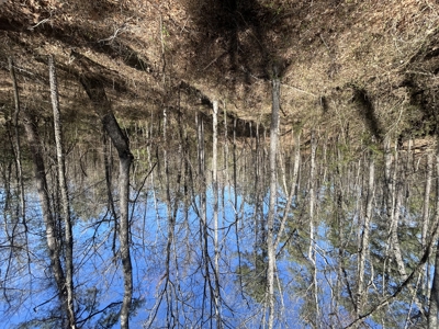29 Acres with Creek & Homesites - image 22