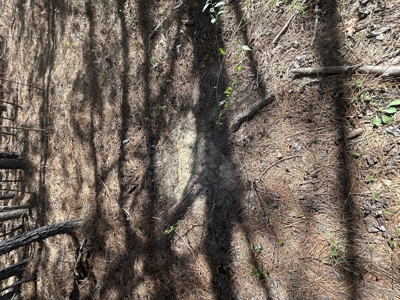 29 Acres with Creek & Homesites - image 43