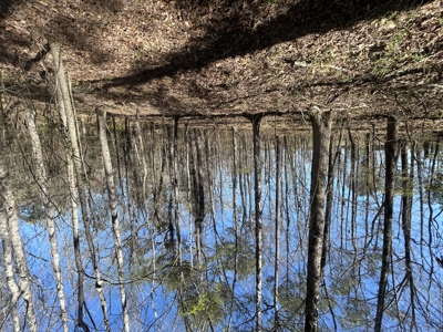 29 Acres with Creek & Homesites - image 14