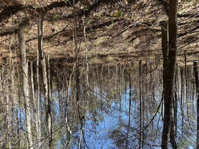 29 Acres with Creek & Homesites - image 8