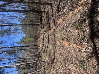 29 Acres with Creek & Homesites - image 36