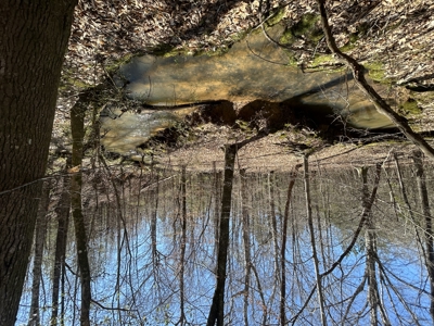 29 Acres with Creek & Homesites - image 2