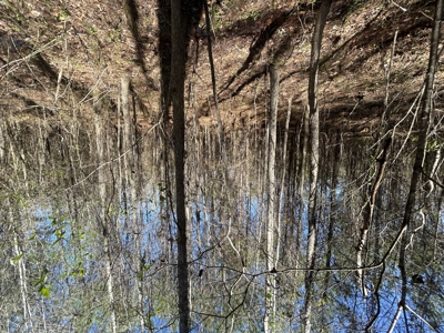 29 Acres with Creek & Homesites - image 9