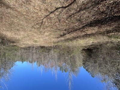 29 Acres with Creek & Homesites - image 30