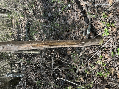 29 Acres with Creek & Homesites - image 6