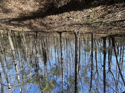 29 Acres with Creek & Homesites - image 15