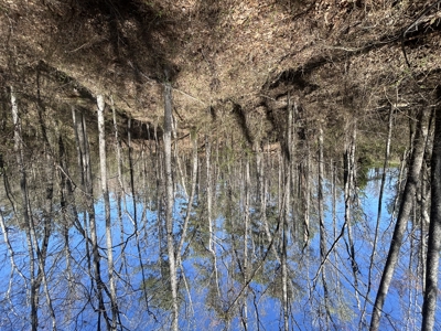 29 Acres with Creek & Homesites - image 20