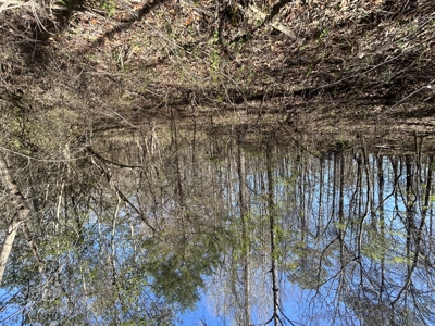 29 Acres with Creek & Homesites - image 13