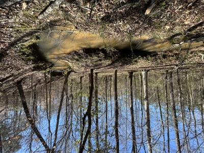 29 Acres with Creek & Homesites - image 1