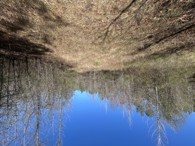 29 Acres with Creek & Homesites - image 29