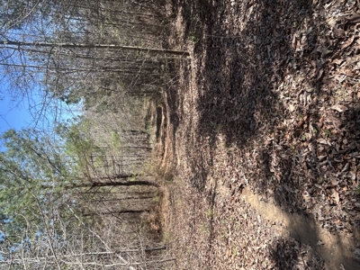 29 Acres with Creek & Homesites - image 33