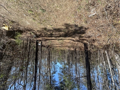 29 Acres with Creek & Homesites - image 23
