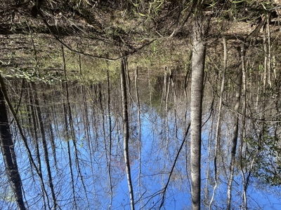 29 Acres with Creek & Homesites - image 12