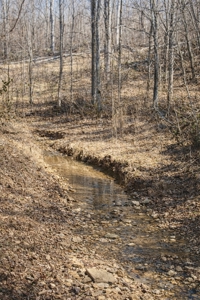 Private Cabin Retreat on 46.7-Acre in Lobelville, Tennessee - image 42