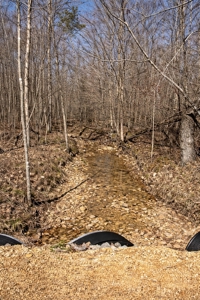 Private Cabin Retreat on 46.7-Acre in Lobelville, Tennessee - image 41