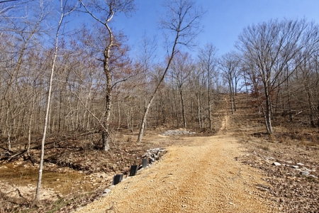 Private Cabin Retreat on 46.7-Acre in Lobelville, Tennessee - image 43