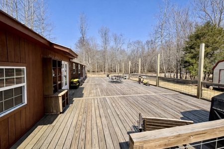 Private Cabin Retreat on 46.7-Acre in Lobelville, Tennessee - image 9