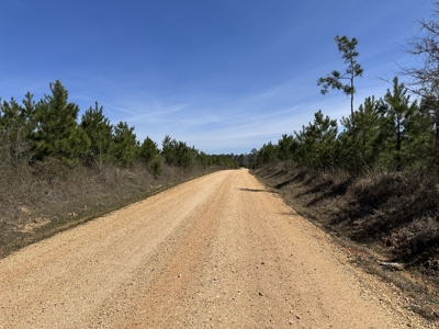 Drew County Timber Investment Property for Sale! - image 3