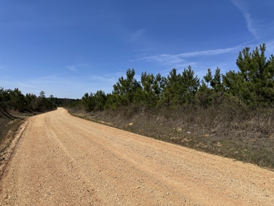 Drew County Timber Investment Property for Sale! - image 1