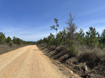 Drew County Timber Investment Property for Sale! - image 2