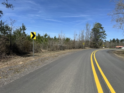 Prime Timberland Investment Land for Sale! - image 3