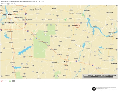 Multiple Use Land in Alcorn County, Farmington, MS - image 8