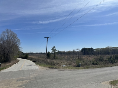 Prime Drew County Timberland Investment Property - image 1