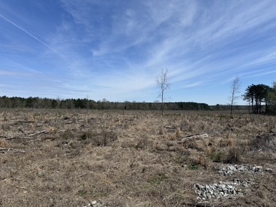 Prime Drew County Timberland Investment Property - image 4