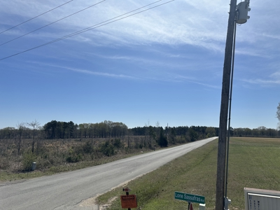 Prime Drew County Timberland Investment Property - image 2