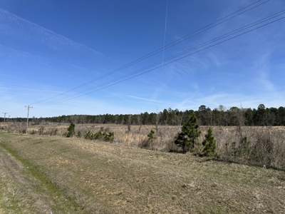 Land For Sale in Johnsville, AR - image 1