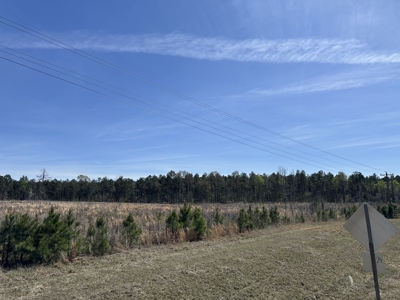 Land For Sale in Johnsville, AR - image 2
