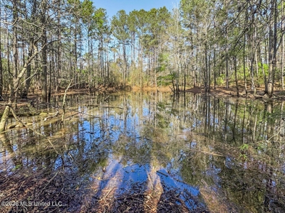 Brookhaven MS Home on 19 Acres Near Lake Lincoln - image 25